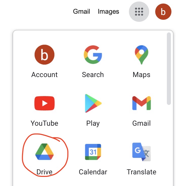 googleDriveIcon